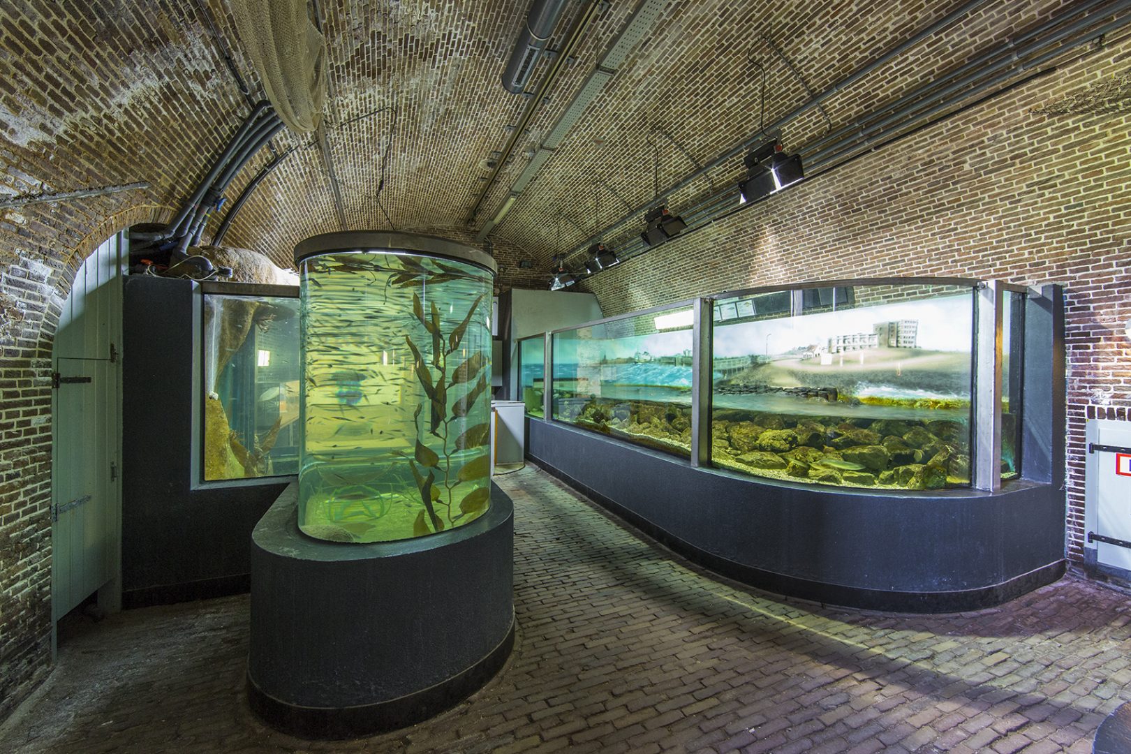 North Sea Aquarium, Texel, The Netherlands