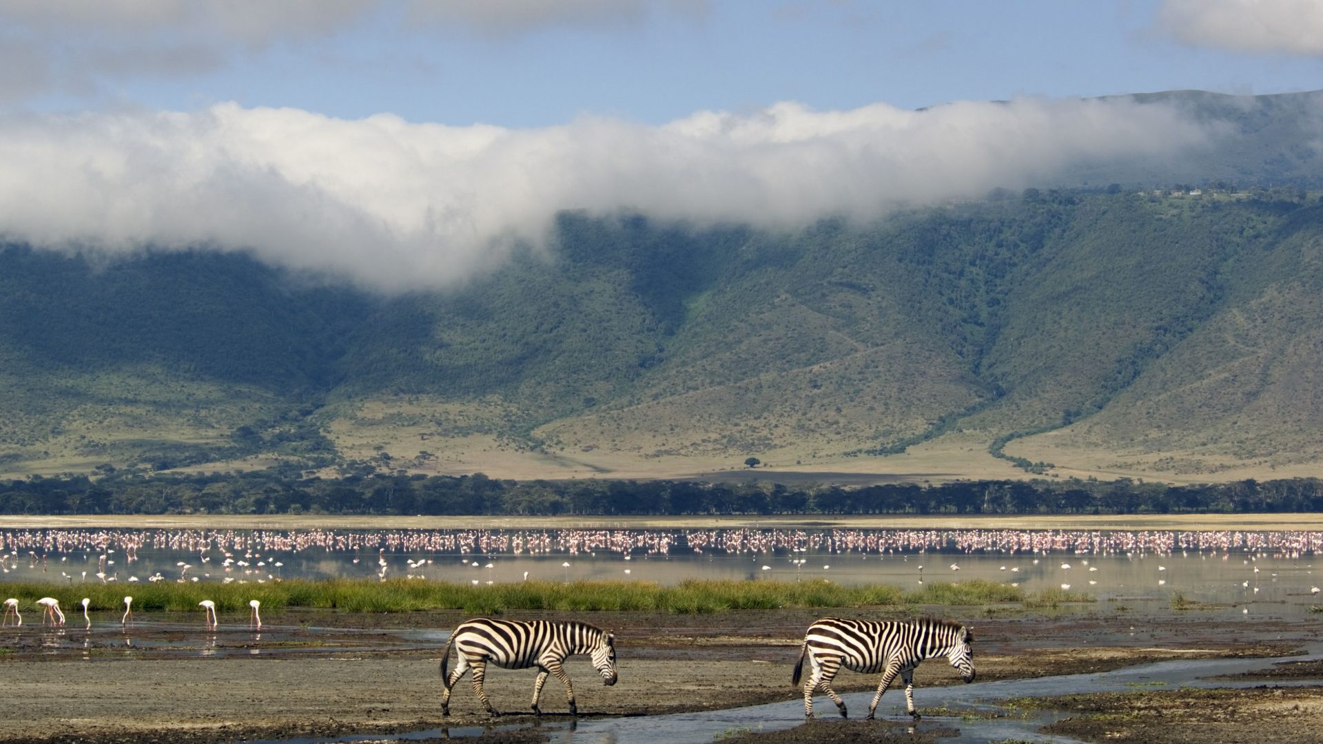 Ngorongoro Conservation Area, Tanzania